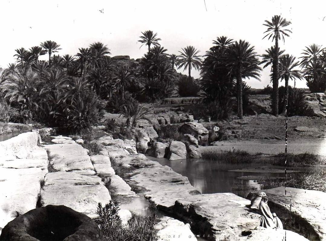 Ain sefra 032-Collection Monneret.JPG